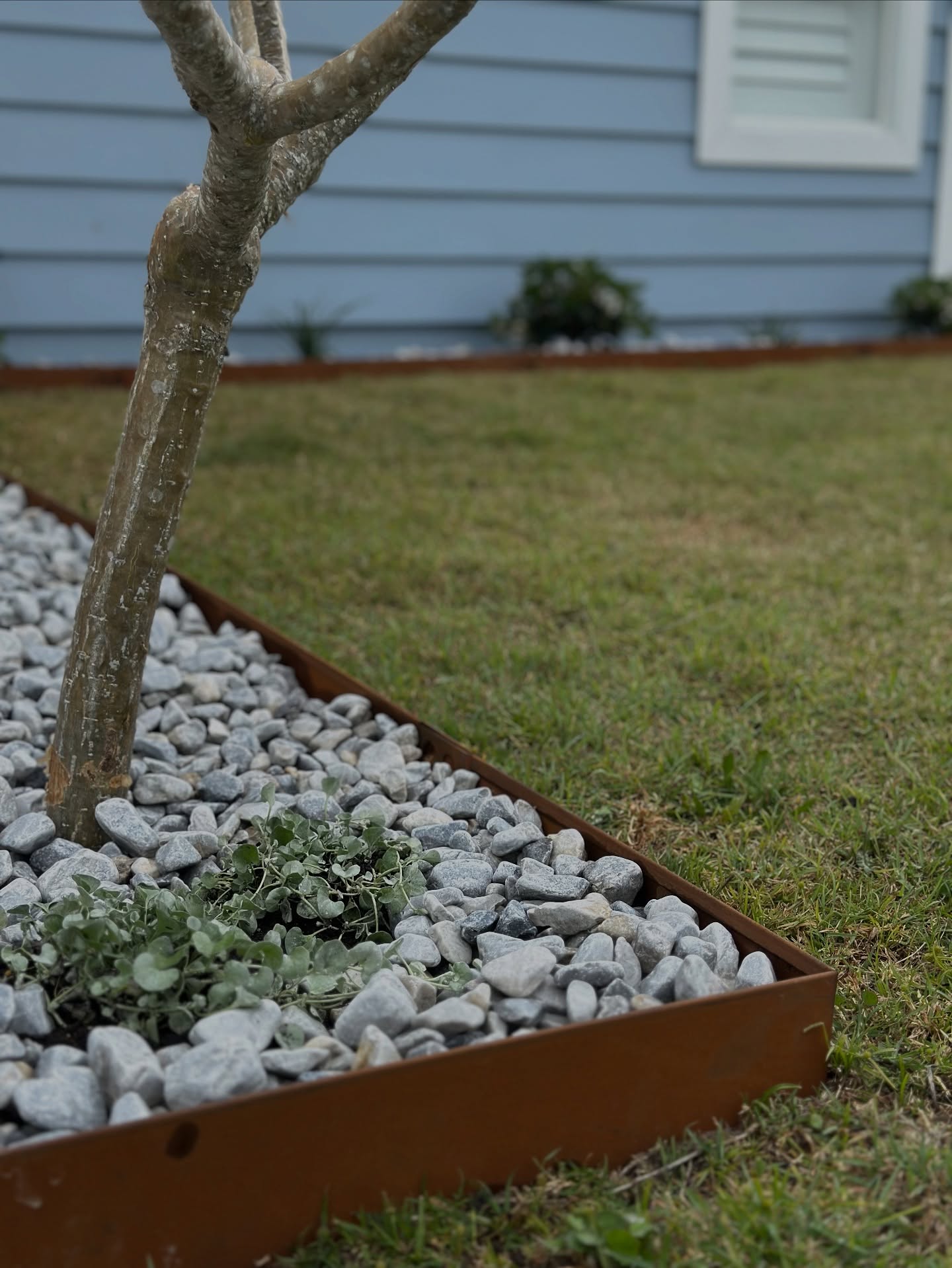 Pebble garden bed with corten steel edging beside a maintained lawn