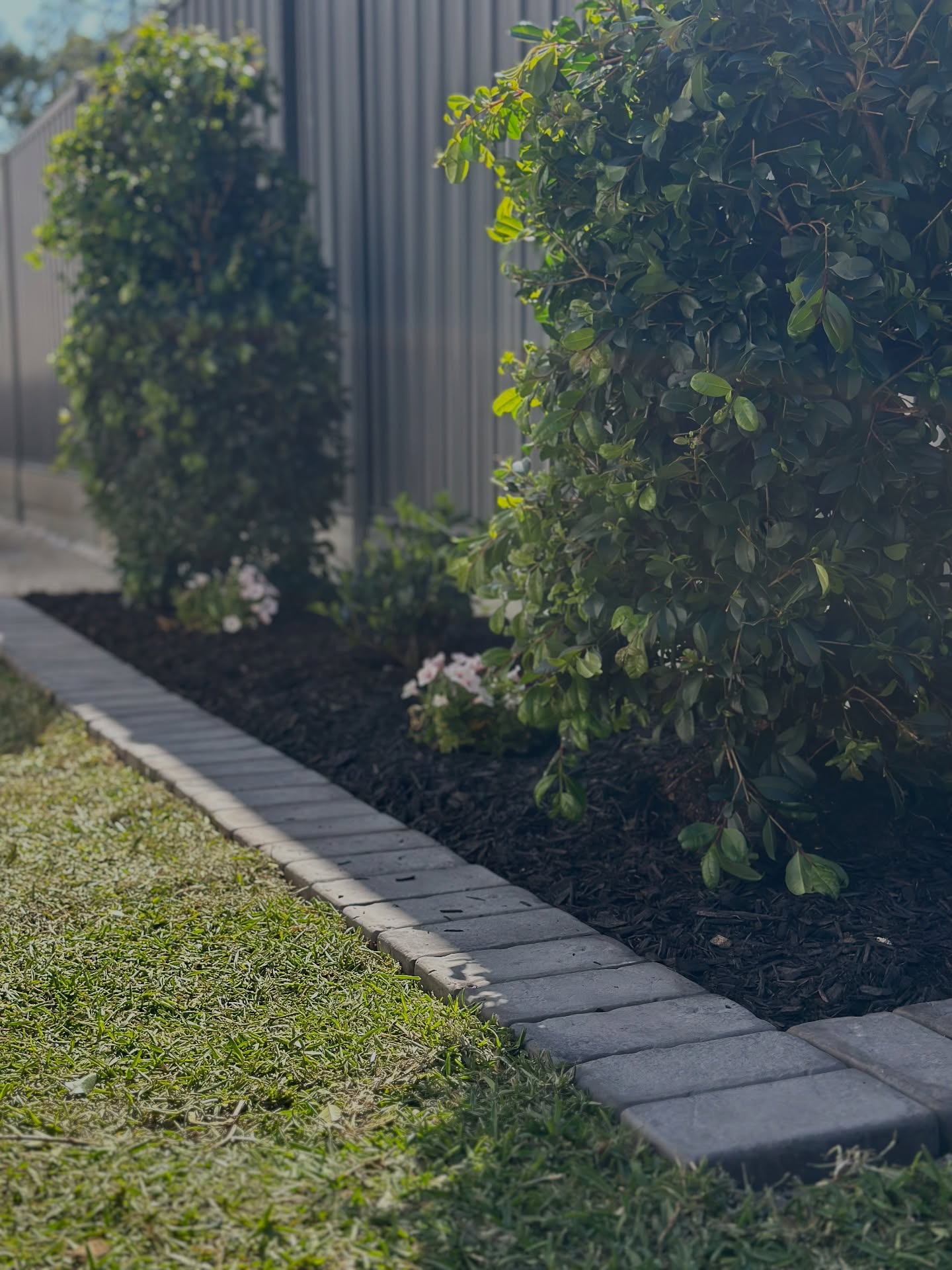 Charcoal paver edging separating black mulch beds from fresh lawn