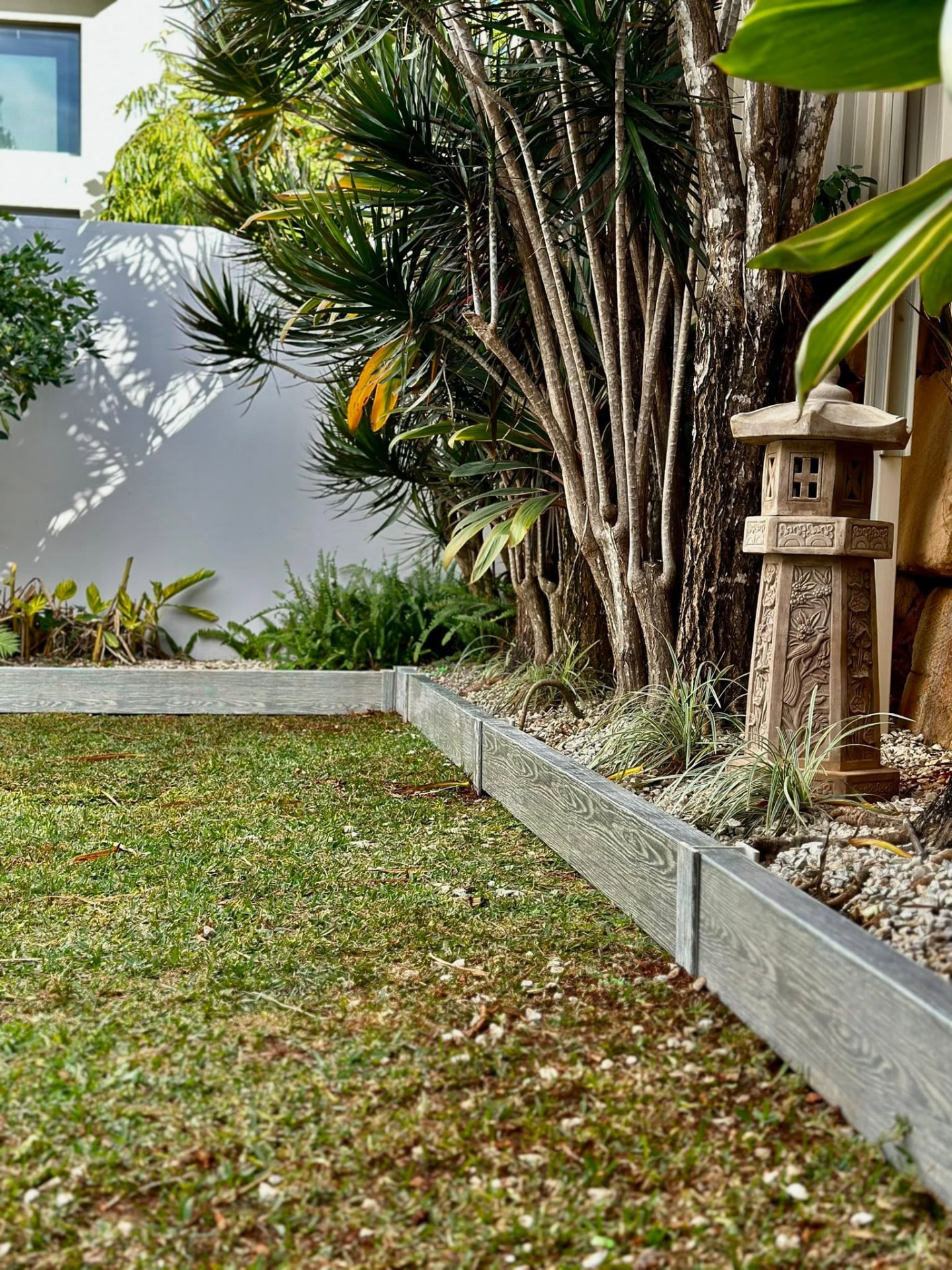 Layered subtropical planting with ferns and cordylines in a mulched garden bed