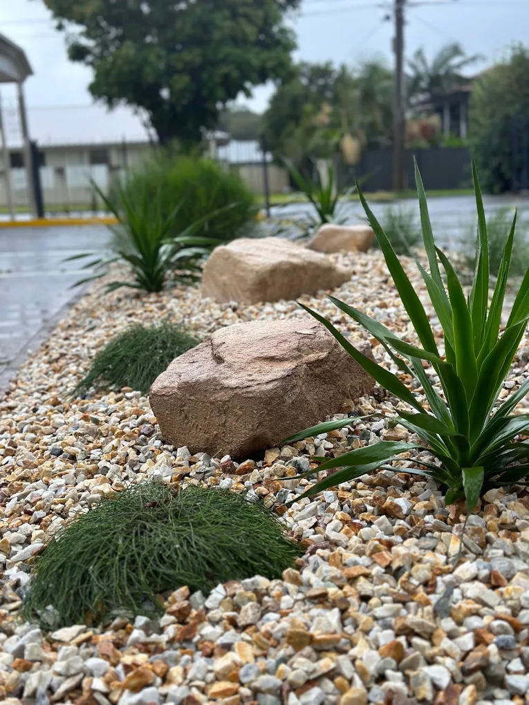 Garden bed with mulch, lavender and pencil pines along a fence